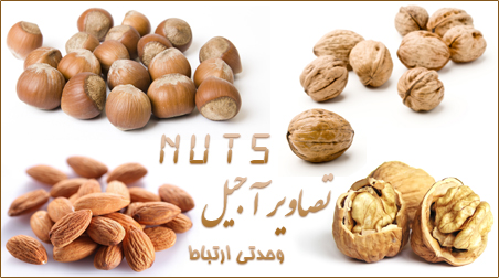 آجیل / Nuts