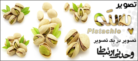 پسته / Pistachio