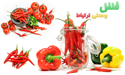 فلفل / Pepper