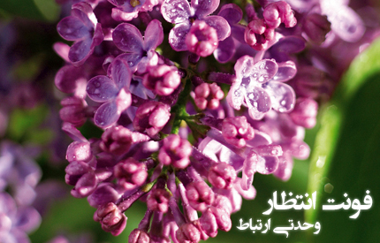 فونت انتظار / Entezar Font