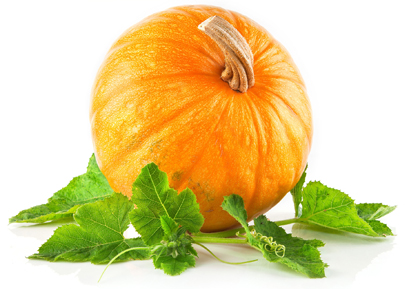 کدو تنبل / Pumpkins