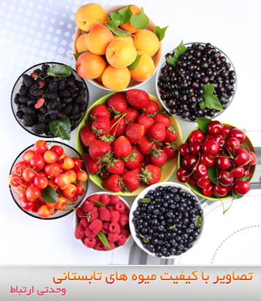 میوه‌های تابستانی / Summer Fruits