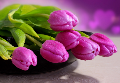 دسته گل جشن و عروسی