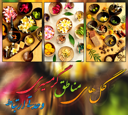 گل‌های مناطق گرمسیری / Tropical Flowers