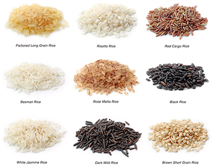 برنج / Rice برنج / Rice