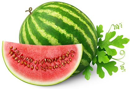 هندوانه / Watermelon