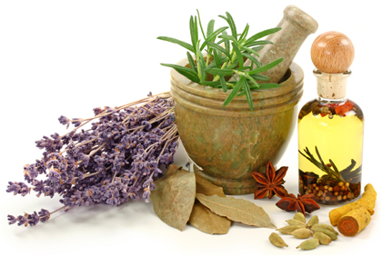 گیاهان / Herbs