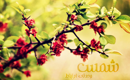 فونت شمس / طراح : محمدرضا شمس الکتابی