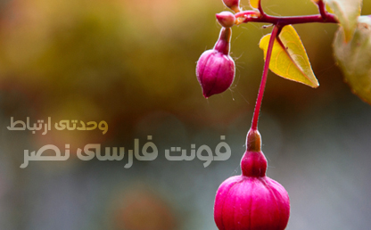 فونت زیبای نصر / طراح : ایران فونت