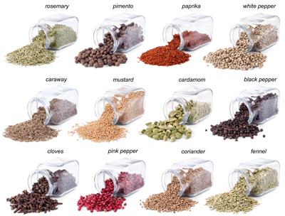 ادویه جات و گیاهان طعم‌دهنده / Spices & Herbs