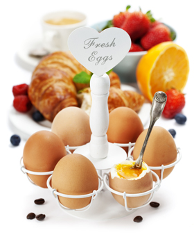 صبحانه خوشمزه / Delicious Breakfast