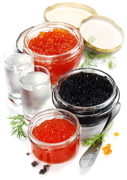 خاویار / Caviar