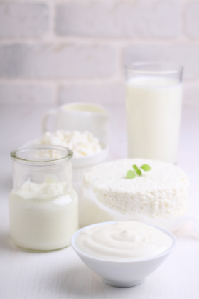 محصولات شیر / Milk Products