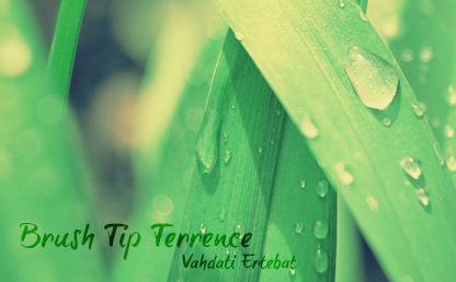 Brush Tip Terrence By Joebob