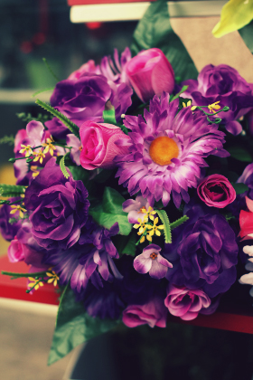 گل‌های درخشان / Shiny Flowers