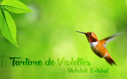 Tartare de Violettes By Medina Grégory