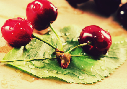 گیلاس‌های خوشمزه / Delicious Cherries