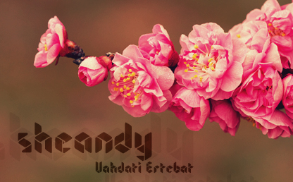 Sheandy By Wates Awal