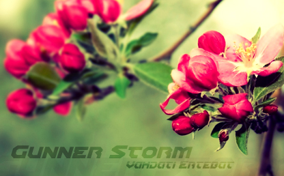 Gunner Storm By Daniel Zadorozny