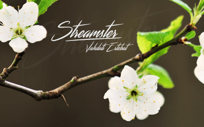 Streamster By Youssef Habchi