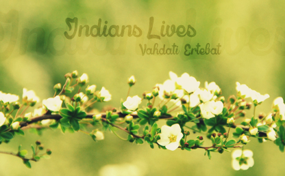 Indians Lives By Medina Grégory