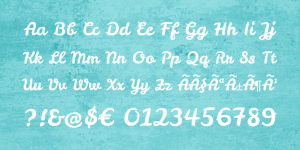 Leckerli One Catalog / By Gesine Todt