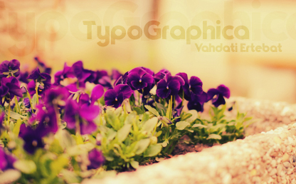 TypoGraphica By Dennis Ludlow