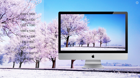 درختان برفی / Snow Trees