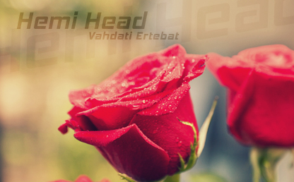 Hemi Head By Raymond Larabie