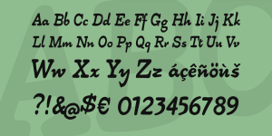 Alpha54 Catalog / By Peter Wiegel