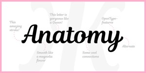 Magnolia Script Catalog / By Tanya Cherkiz