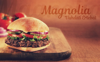 Magnolia By Tanya Cherkiz